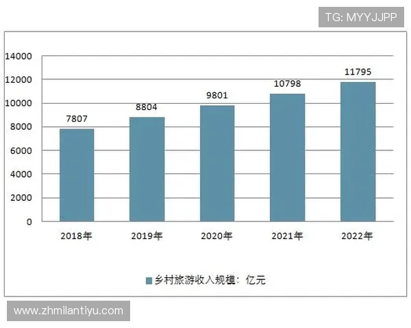 米兰体育有限公司在网络游戏行业中的发展战略与未来规划分析